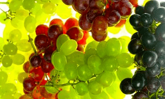 Corrección nutricional para venas varicosas.